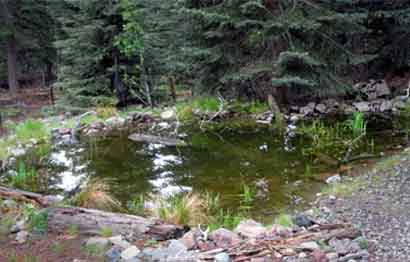 MCloud Pond