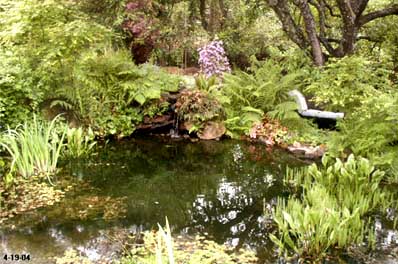 POND 2004